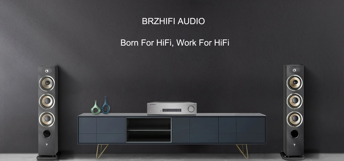 About BrzHifi - Leading Audio Amplifier Manufacturer Since 2008- Your ...